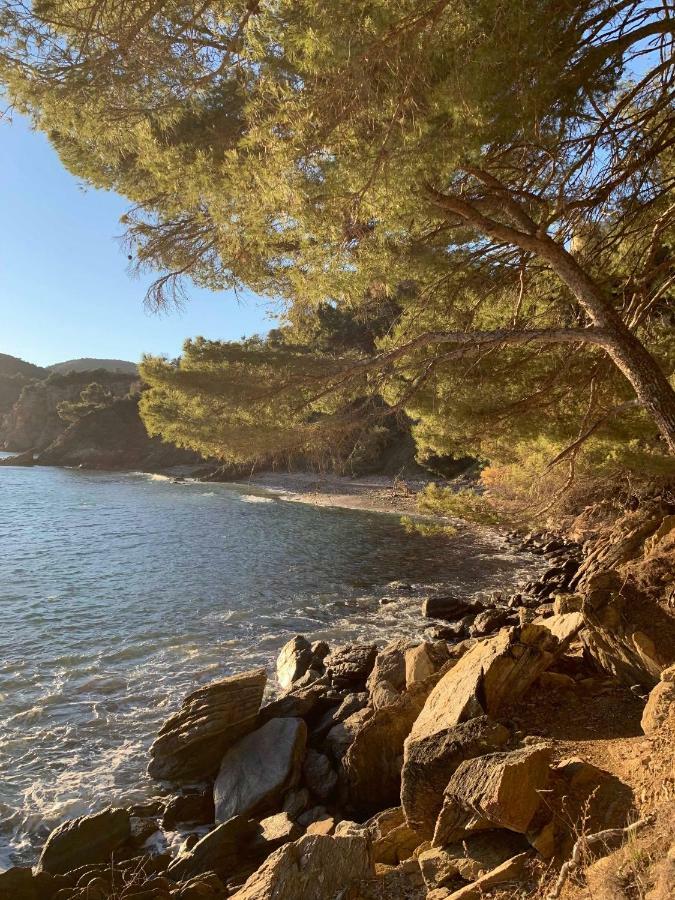 Villa Cavalaire Sur Mer エクステリア 写真