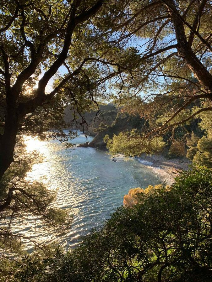 Villa Cavalaire Sur Mer エクステリア 写真